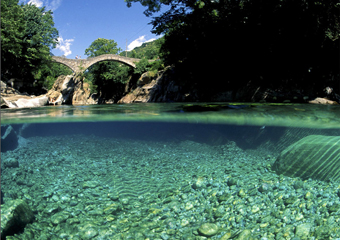 screenshots_toast_01